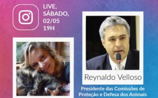 Live com Paula Burlamaqui  –  Instagram