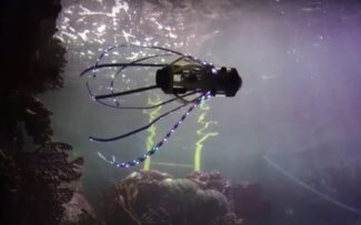 Robô em forma de lula para estudar o Oceano