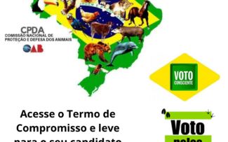ELEIÇÕES: LANÇAMENTO DO TERMO DE COMPROMISSO