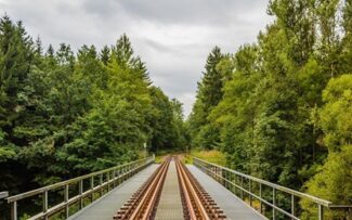 III Congresso Iberoamericano de Biodiversidade e Infraestrutura Viária