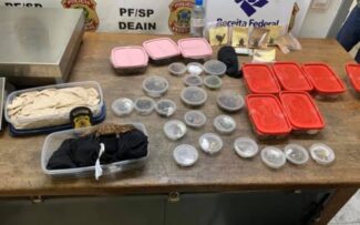 A maldição do tráfico de animais