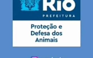 Animais: Secretário quer a revisão da legislação municipal/RJ
