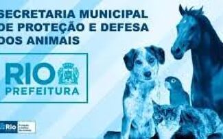 Animais: Secretário quer a revisão da legislação municipal/RJ