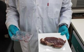 BRF, dona de Sadia e Perdigão, vai produzir bife de laboratório no Brasil