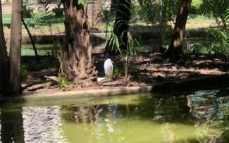 Recanto do Trovador/RJ