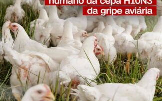 China relata primeiro caso da cepa H10N3 da gripe aviária