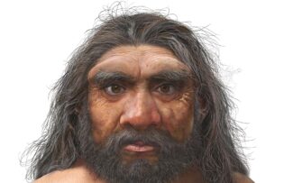 Cientistas chineses apresentam o “homem dragão”, a nova espécie humana “irmã” do ‘Homo sapiens’