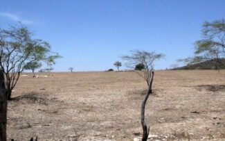 Um deserto no Nordeste brasileiro