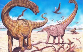 Brasileiros participam de descoberta de 2 espécies de dinossauros na China