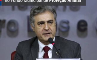 Presidente de comissão da OABRJ é nomeado gestor do Fundo Municipal de Proteção Animal