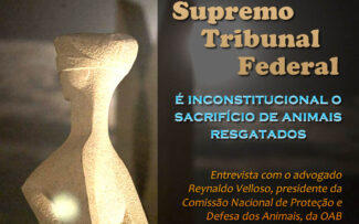 Advogado fala sobre decisão do STF que vetou massacre de animais resgatados