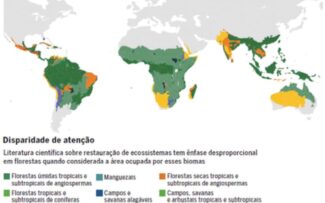 Cerrado brasileiro recebe pouca atenção em estudos de recomposição de vegetação nativa, revela ONU