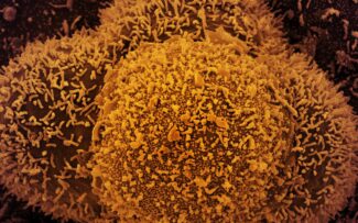 Covid: Variante Ômicron