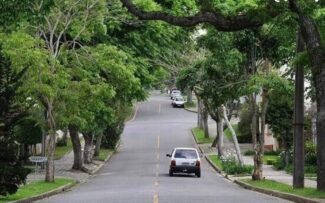Mais árvores nas cidades e mais saúde para você