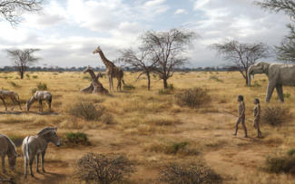 Paleontólogos contestam papel da carne na evolução