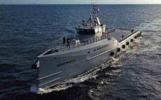 Comissão da OABRJ reuniu-se com ONG de defesa dos animais marinhos