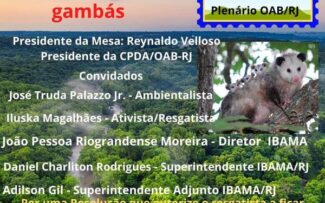 Audiência Pública: Em Defesa dos gambás