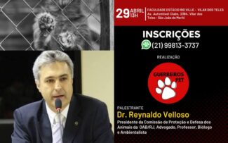 ONG oferece 50 vagas gratuitas para seminário sobre proteção e defesa dos animais