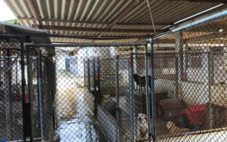 SUIPA está em situação dramática