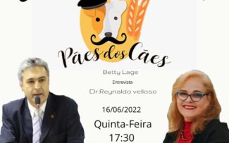 Em Petrópolis, muitos temas pelos animais