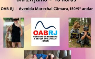 A culpa não é do Pitbull