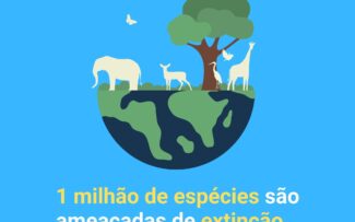 Preparativos para o Quadro de Biodiversidade Pós-2020