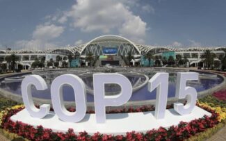 Biodiversidade: Um milhão de espécies sob ameaça de extinção