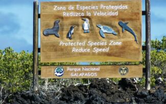 Galápagos coberta de plásticos