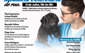 Uma chance para os abandonados
