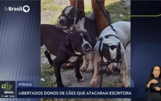 Os cães de Saquarema