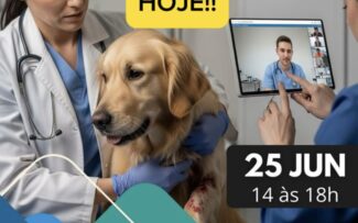 Medicina Veterinária sem EAD
