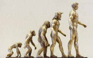 Evolução fez do ser humano mais indefeso contra o câncer